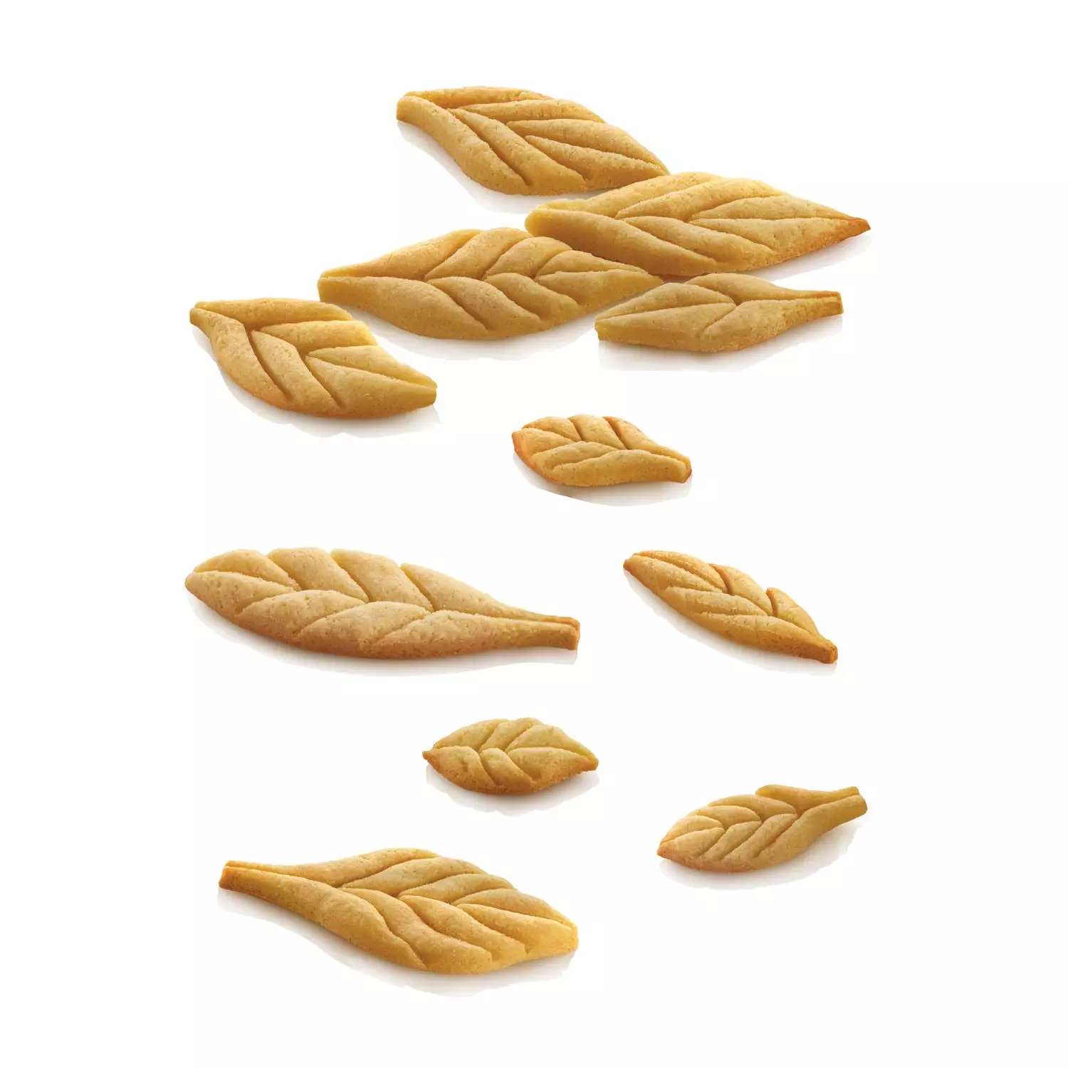Image du produit 12